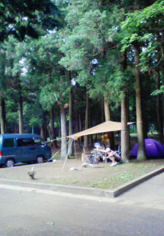 NEC_0228.jpg